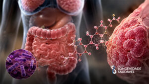 Estroboloma-cancer-hormonio-dependente