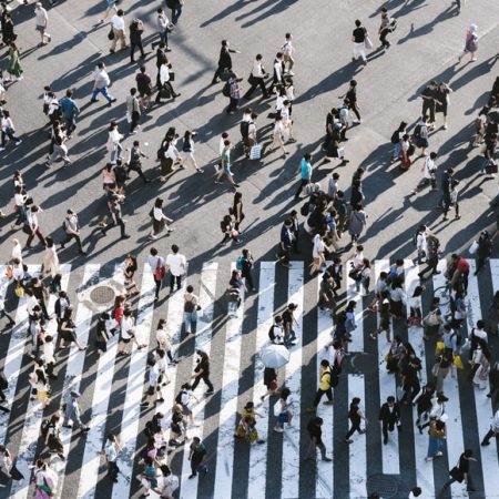 Quais as funções do cortisol no organismo